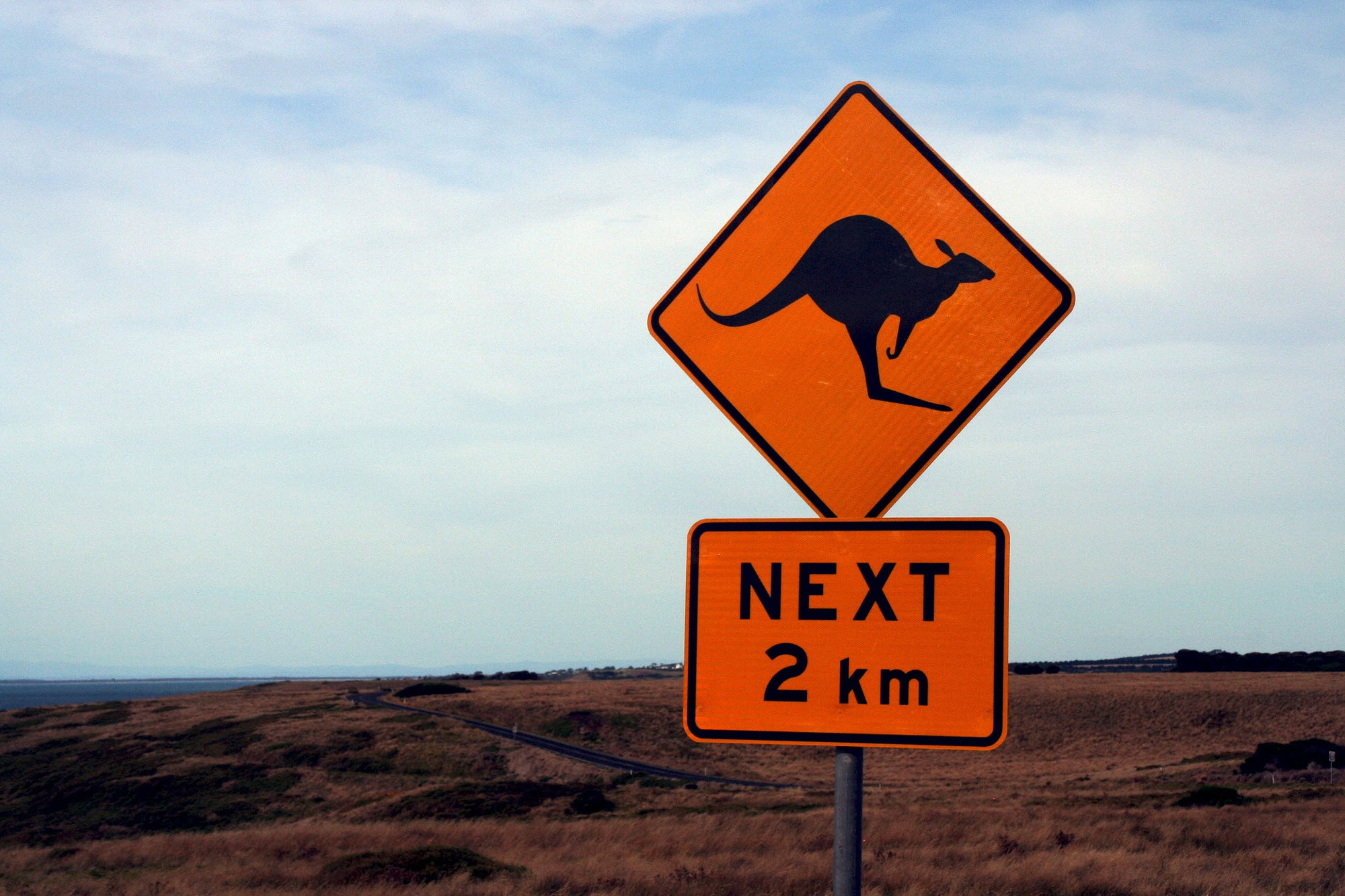 kangaroo sign