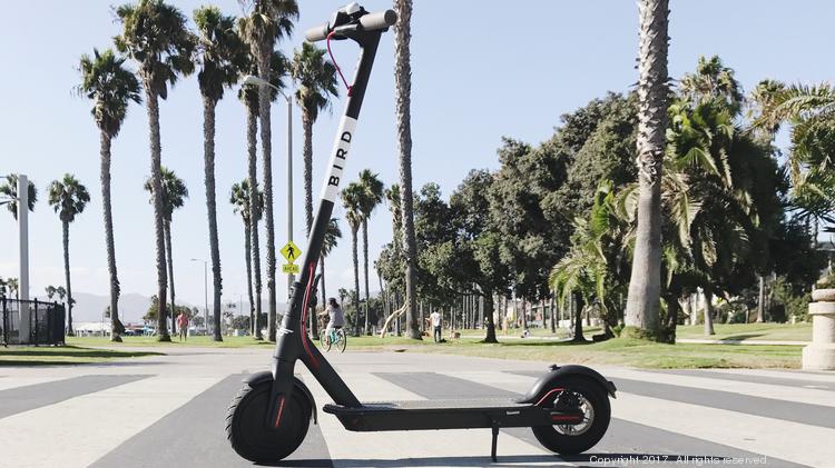bird electric scooters